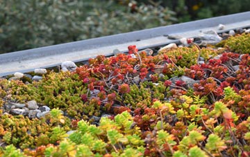 the cost of Buckley green roof installation