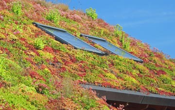 Buckley living roof systems