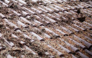 Buckley roof cleaning companies